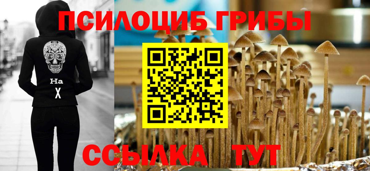 Галлюциногенные грибы прущие грибы Волгоград
